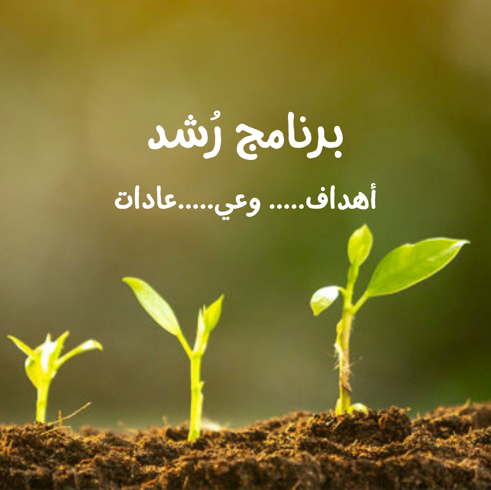 برنامج رُشد